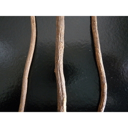 ¨Reglisse baton  18 cm 1 (2)